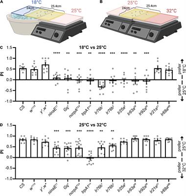 Cool and warm ionotropic receptors control multiple thermotaxes in Drosophila larvae